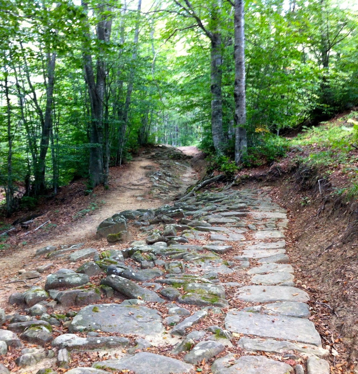 Anno 187 a.C -  il Console Caio Flaminio crea una via tra tra Bononia e Aretium